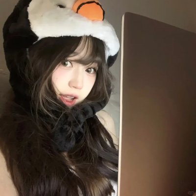 孤鸟罗宾